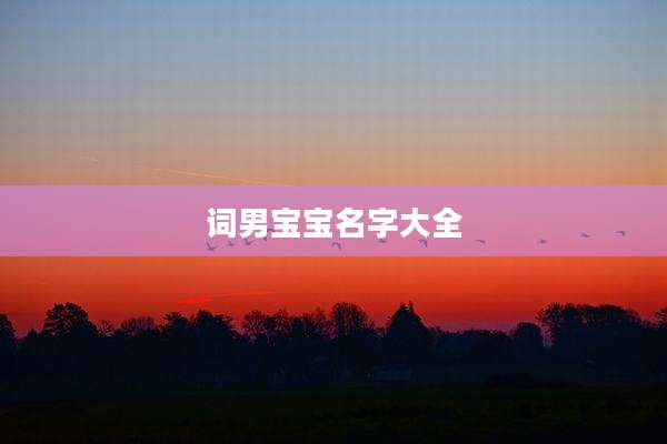 词男宝宝名字大全
