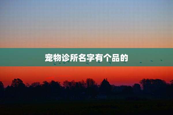 宠物诊所名字有个品的