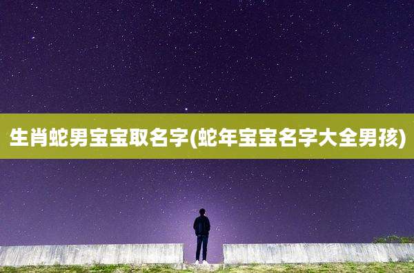 生肖蛇男宝宝取名字(蛇年宝宝名字大全男孩)
