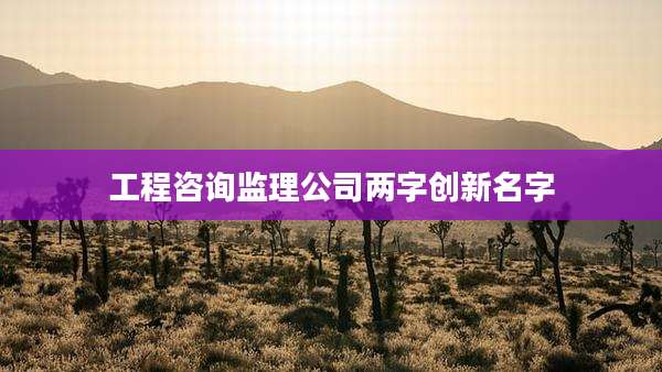 工程咨询监理公司两字创新名字