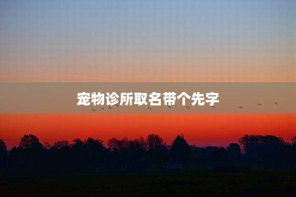 宠物诊所取名带个先字