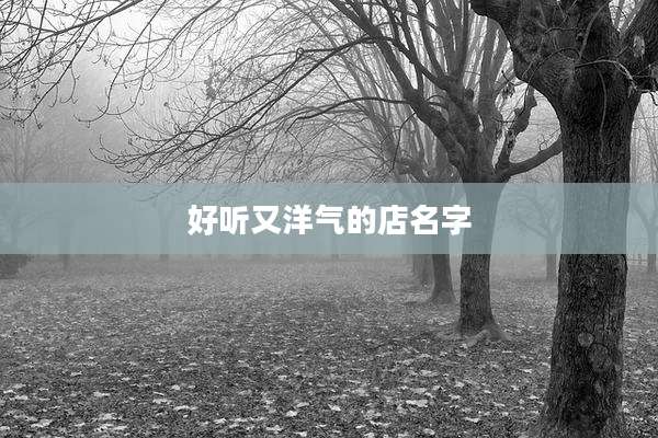 好听又洋气的店名字