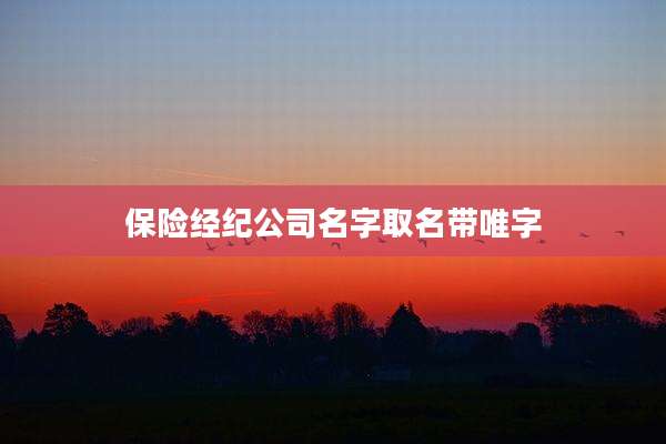 保险经纪公司名字取名带唯字