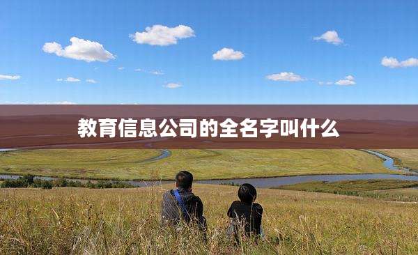 教育信息公司的全名字叫什么