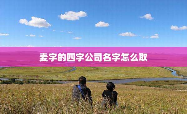 麦字的四字公司名字怎么取