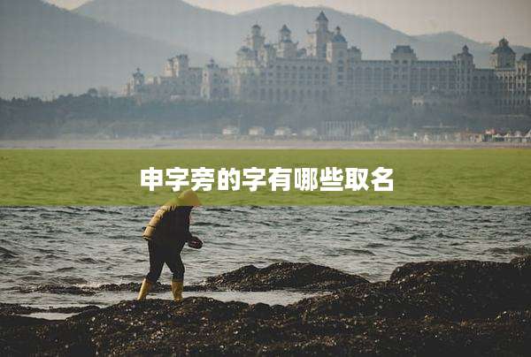 申字旁的字有哪些取名