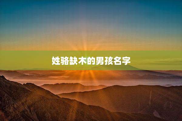 姓骆缺木的男孩名字