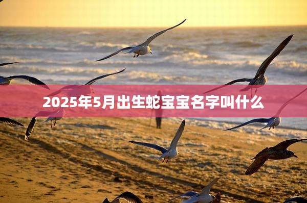 2025年5月出生蛇宝宝名字叫什么