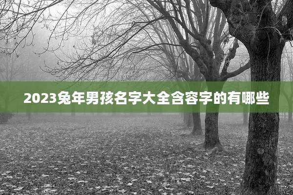2023兔年男孩名字大全含容字的有哪些
