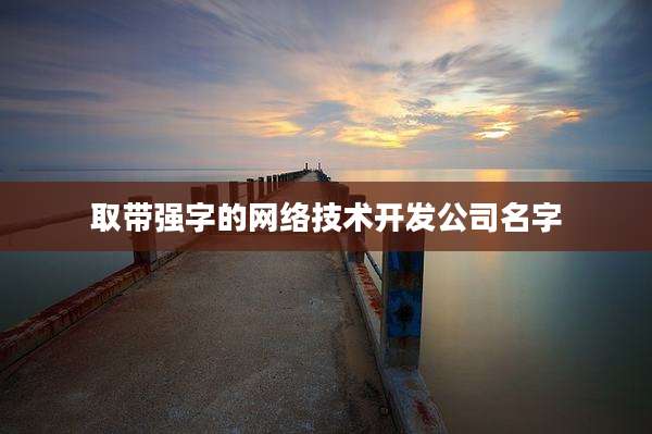 取带强字的网络技术开发公司名字