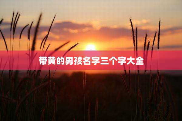 带黄的男孩名字三个字大全