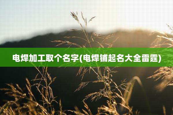 电焊加工取个名字(电焊铺起名大全雷霆)