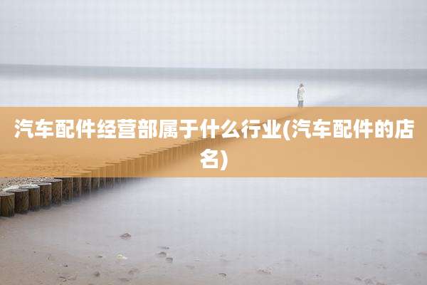 汽车配件经营部属于什么行业(汽车配件的店名)