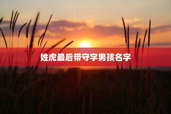 姓虎最后带守字男孩名字