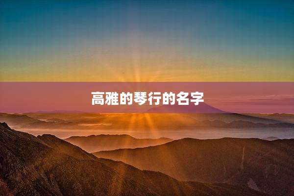 高雅的琴行的名字