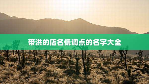 带洪的店名低调点的名字大全