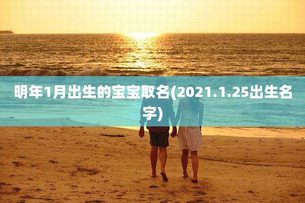 明年1月出生的宝宝取名(2021.1.25出生名字)
