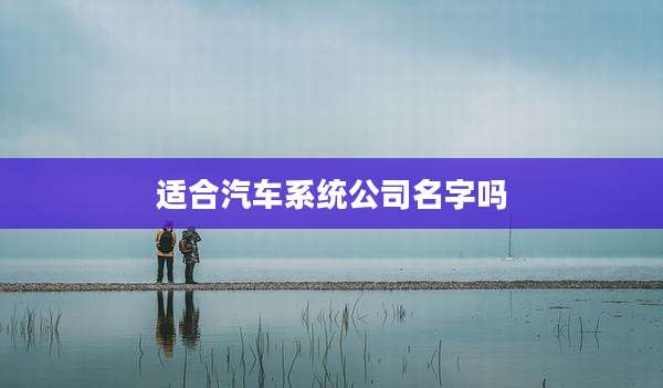 适合汽车系统公司名字吗