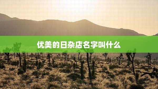 优美的日杂店名字叫什么