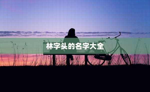 林字头的名字大全
