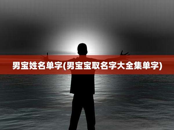 男宝姓名单字(男宝宝取名字大全集单字)