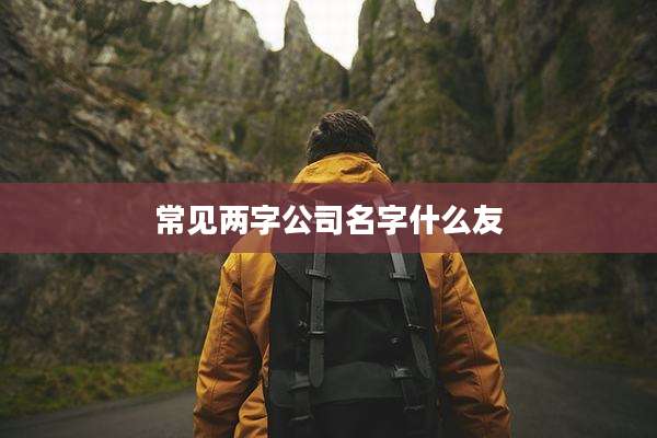 常见两字公司名字什么友