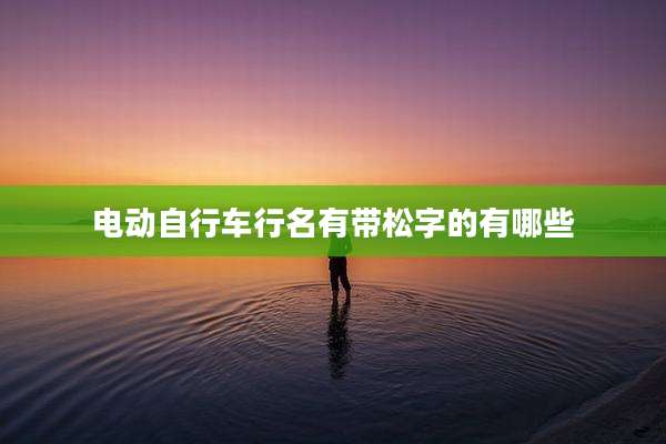 电动自行车行名有带松字的有哪些