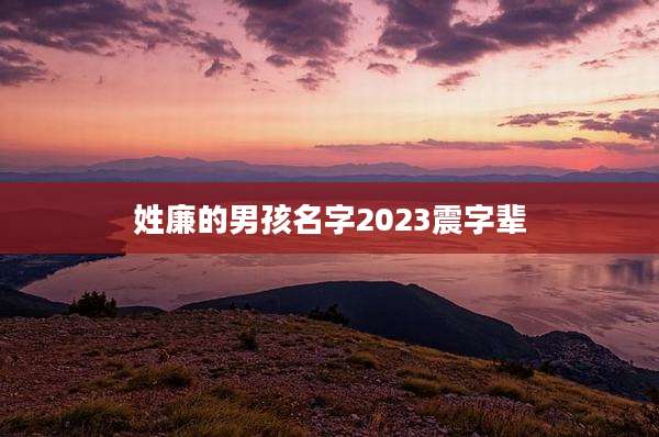 姓廉的男孩名字2023震字辈