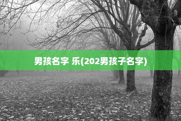 男孩名字 乐(202男孩子名字)