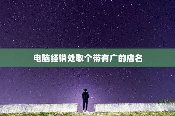 电脑经销处取个带有广的店名