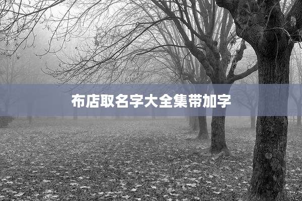 布店取名字大全集带加字