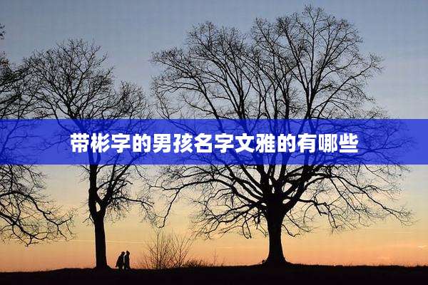 带彬字的男孩名字文雅的有哪些