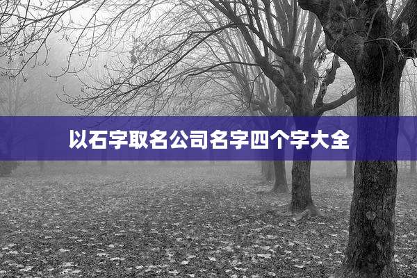 以石字取名公司名字四个字大全
