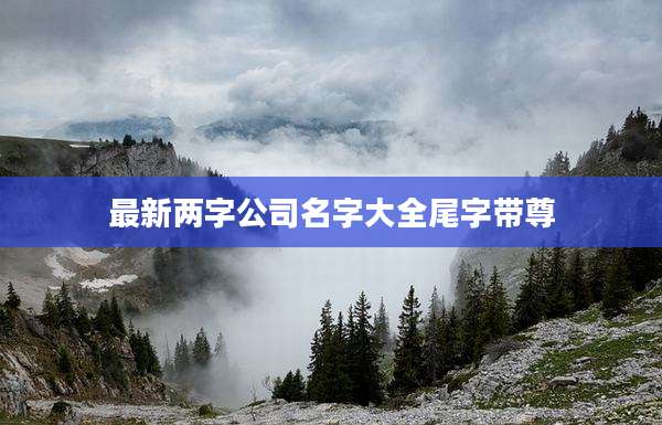 最新两字公司名字大全尾字带尊
