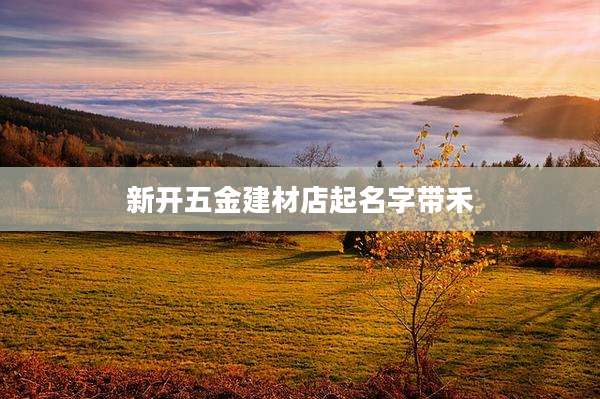 新开五金建材店起名字带禾