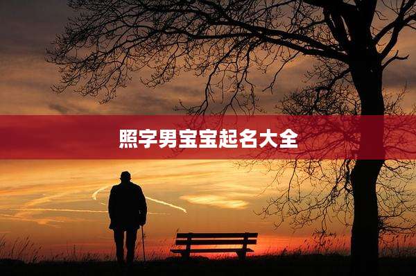 照字男宝宝起名大全