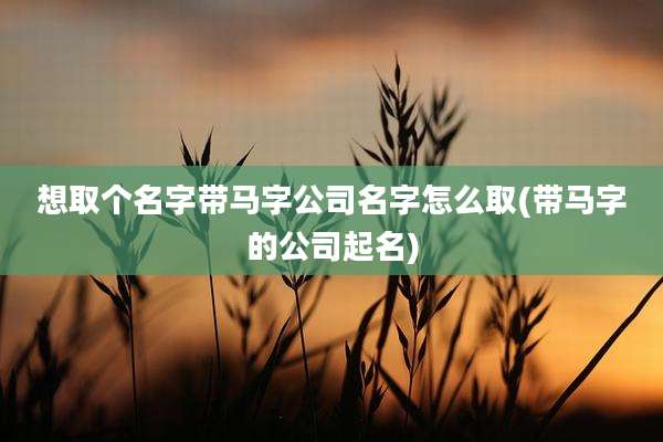 想取个名字带马字公司名字怎么取(带马字的公司起名)
