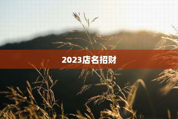2023店名招财
