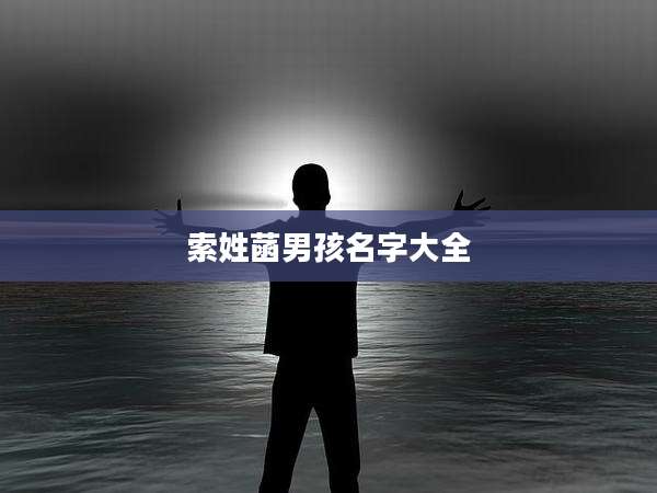 索姓菡男孩名字大全