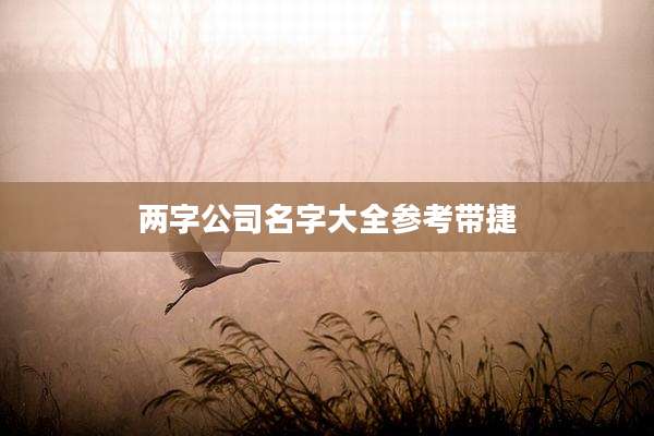 两字公司名字大全参考带捷