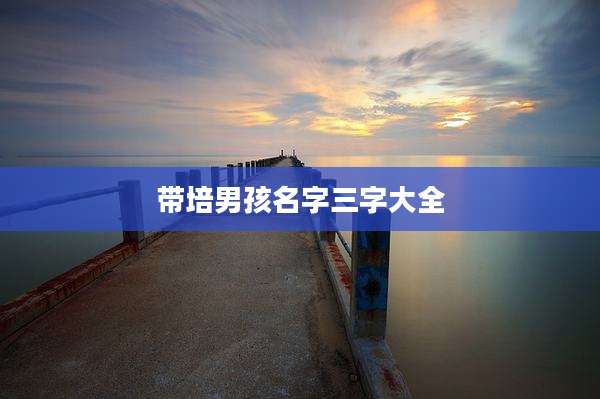带培男孩名字三字大全