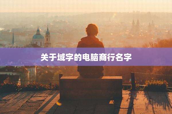 关于域字的电脑商行名字