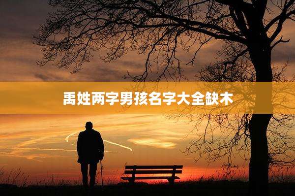 禹姓两字男孩名字大全缺木