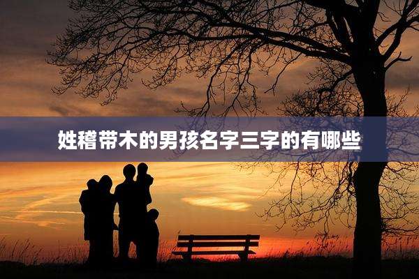 姓稽带木的男孩名字三字的有哪些