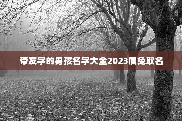 带友字的男孩名字大全2023属兔取名