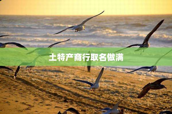 土特产商行取名做满