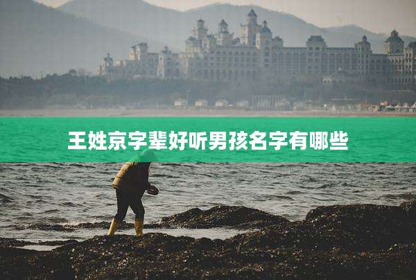 王姓京字辈好听男孩名字有哪些