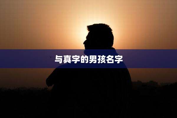 与真字的男孩名字