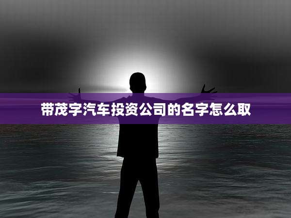 带茂字汽车投资公司的名字怎么取