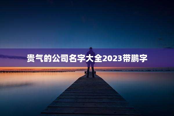 贵气的公司名字大全2023带鹏字